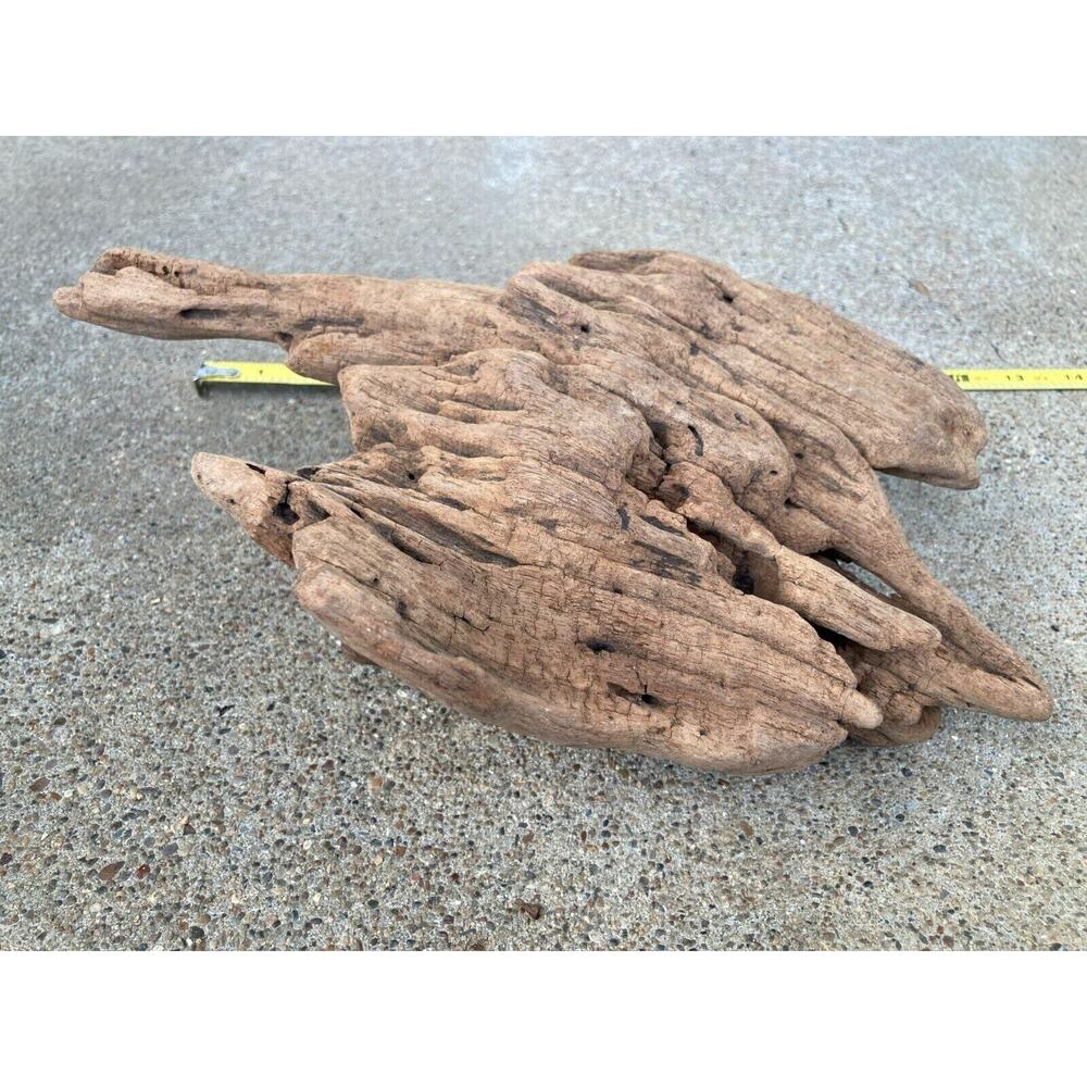 Ohio River Driftwood 11"x7.5"x4"